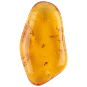 Amber perfume note