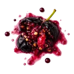 Blackcurrant Nectar perfume note