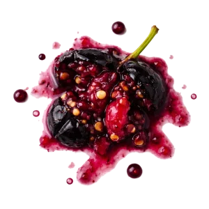 Blackcurrant Nectar perfume note