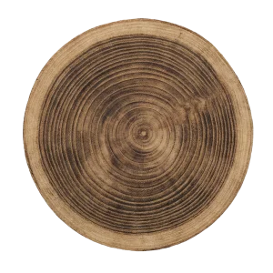Cashmere Wood perfume note