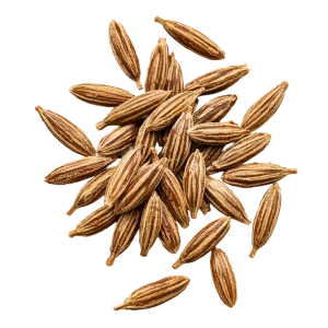 Cumin perfume note