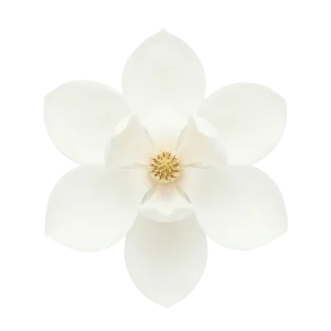 Magnolia perfume note
