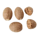 Nutmeg perfume note