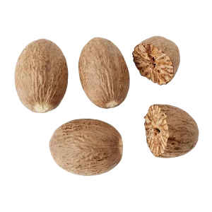 Nutmeg perfume note