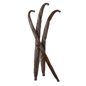 Vanilla perfume note