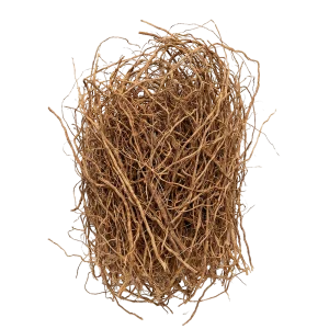 Vetiver perfume note