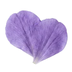 Violet perfume note